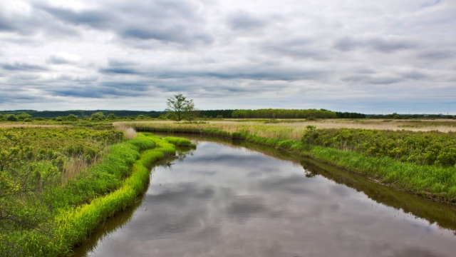 2c2511e8603ad760b7d39ebfc25c1f30_s