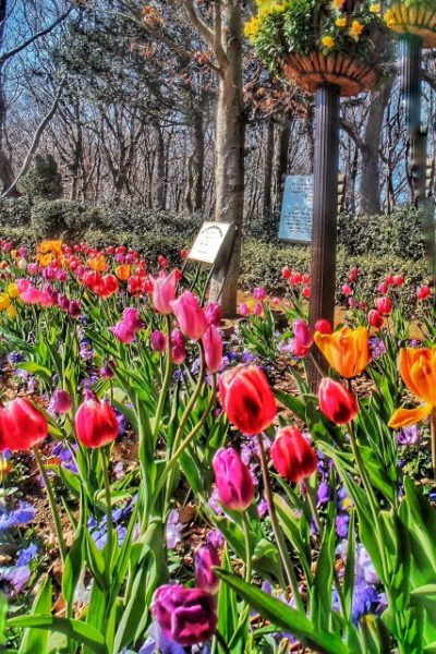 900d9ff6240b79b55502fd4ef7984eaa_s