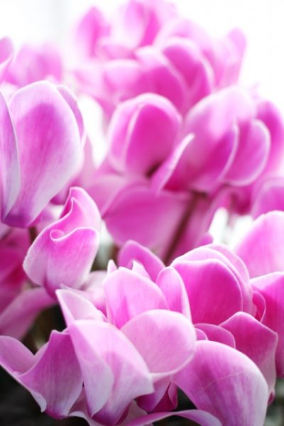 b22a17f804abec5601fce8c09fab39dd_s