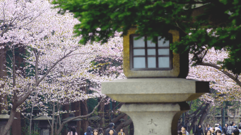 スクリーンショット 2016-04-24 23.47.00