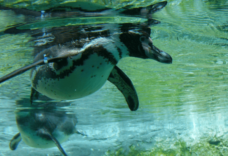 スクリーンショット 2016-04-24 23.55.23