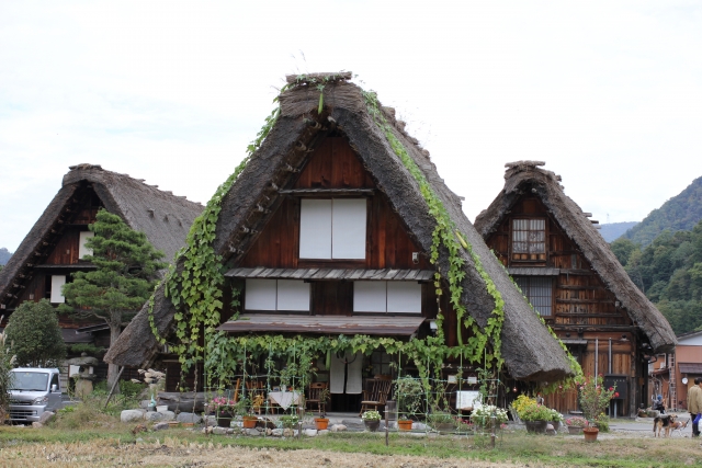 2207dad487925a2355c95e877be5c50c_s