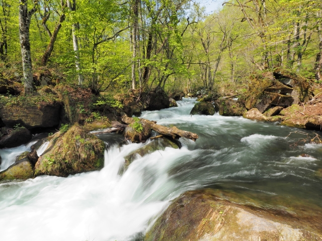 8fb9bb56a89c08101d33fcf7baa24cbb_s