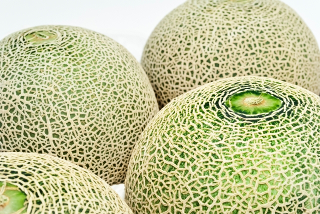 e99864d62437b7d3407a1d04a823e559_s