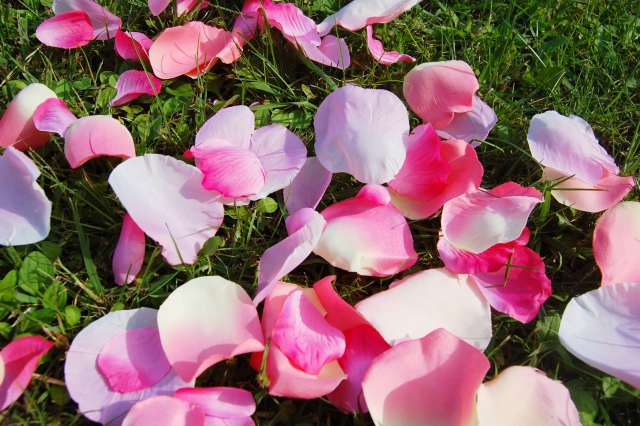 77158df807e22d7e1e8a24a90c811c23_s